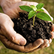 Illustration for article titled Theres Lead in Your Farm, But Heres How to Get It Out